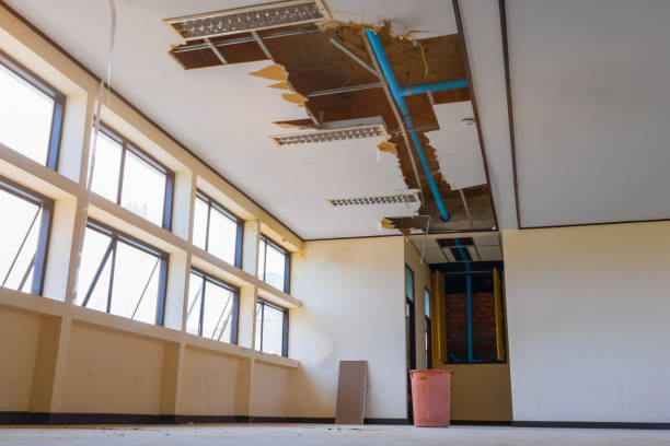 Best Water damage contractors near me  in Ranger, TX