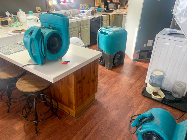 Best Water damage restoration insurance claims  in Ranger, TX