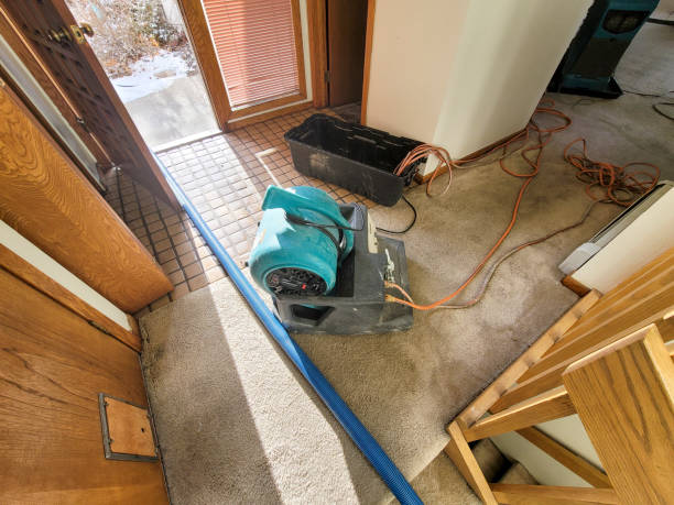 Best Fire Damage Restoration  in Ranger, TX
