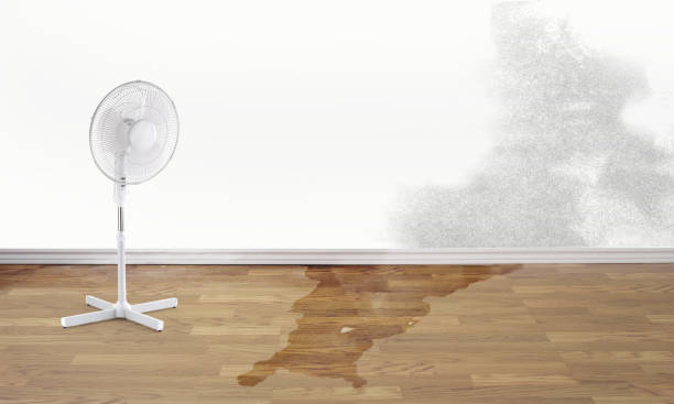 Best Water damage restoration process  in Ranger, TX