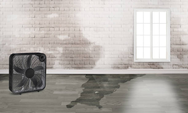 Best Water damage restoration cost  in Ranger, TX