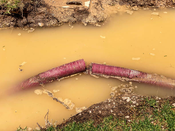 Best 24/7 water damage repair  in Ranger, TX